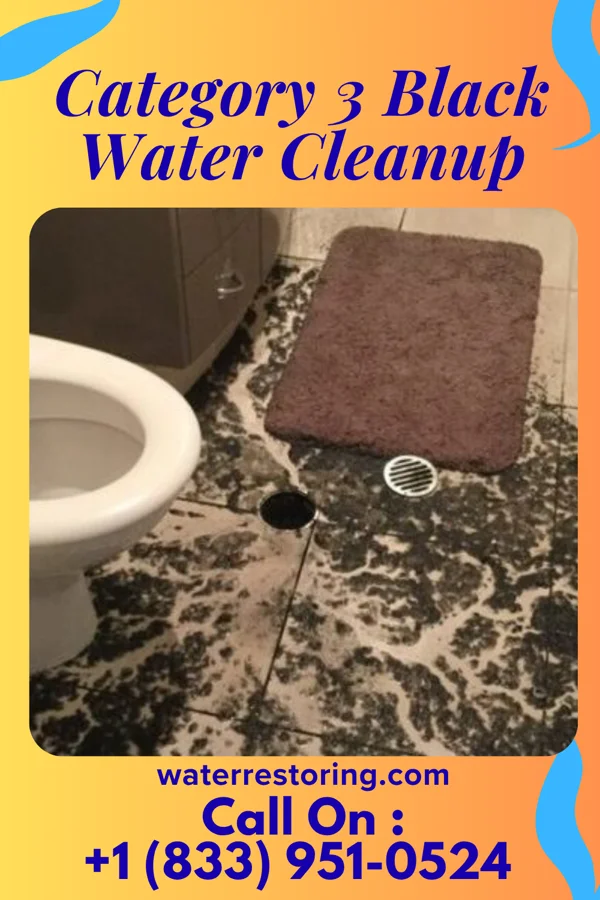 Category 3 Black Water Cleanup in Tolley, ND